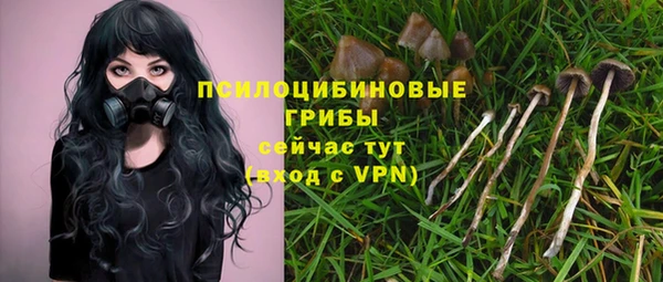 молекула духа Алзамай