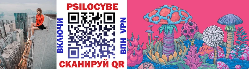 купить наркотики цена Унеча ОМГ ОМГ как войти Галлюциногенные грибы Cubensis